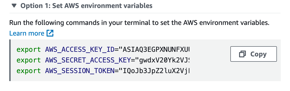 Set AWS environment variables